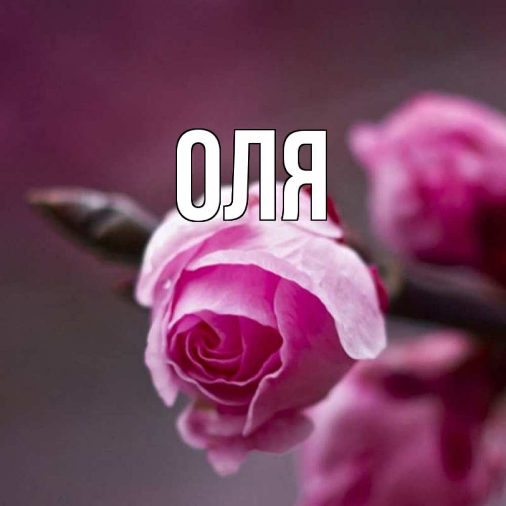 Картинка оля