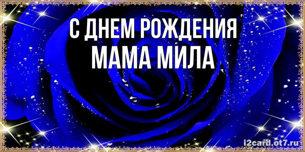 Открытка на каждый день с именем, Мама-Мила С днем рождения голубые цветы в росе Прикольная открытка с пожеланием онлайн скачать бесплатно 