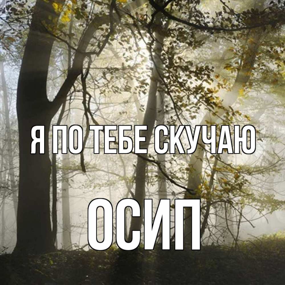 Открытка на каждый день с именем, Осип Я по тебе скучаю грустно Прикольная открытка с пожеланием онлайн скачать бесплатно 