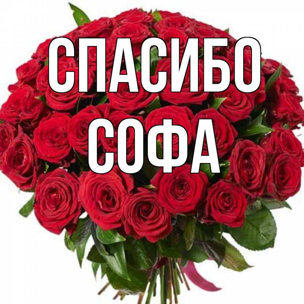 Софа имя