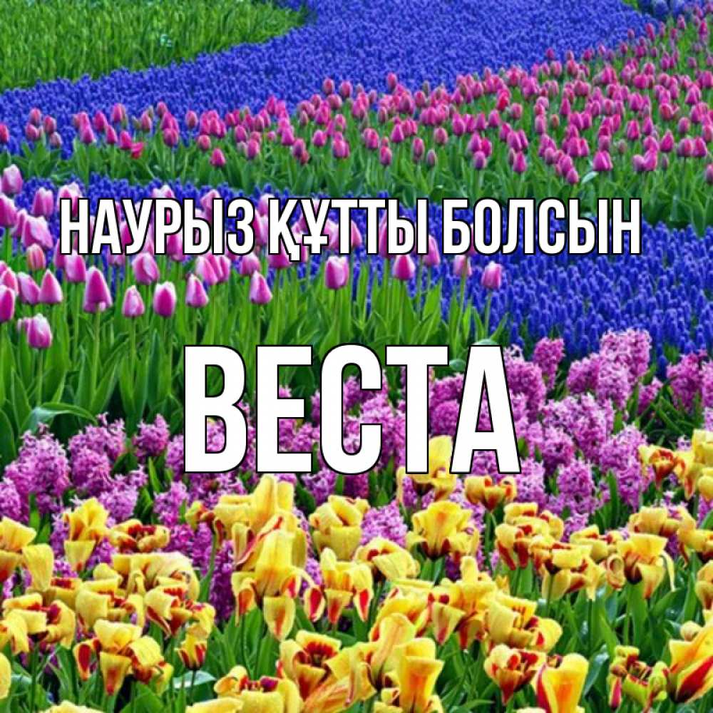 Открытка на каждый день с именем, Веста Наурыз құтты болсын цветы Прикольная открытка с пожеланием онлайн скачать бесплатно 