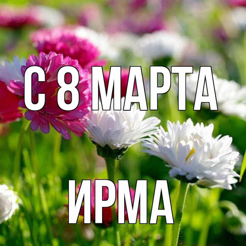Открытка на каждый день с именем, Ирма С 8 марта международный женский день 1 Прикольная открытка с пожеланием онлайн скачать бесплатно 