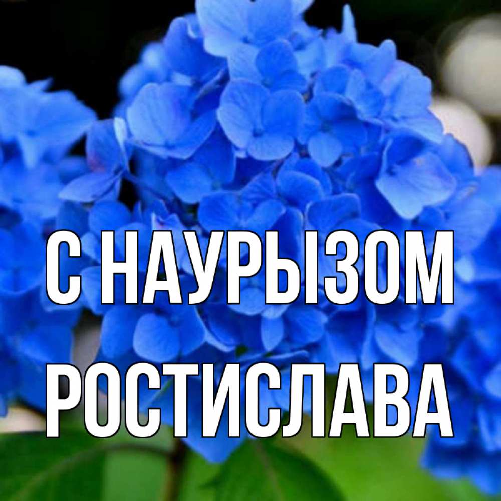 Открытка на каждый день с именем, Ростислава С наурызом синие цветы Прикольная открытка с пожеланием онлайн скачать бесплатно 