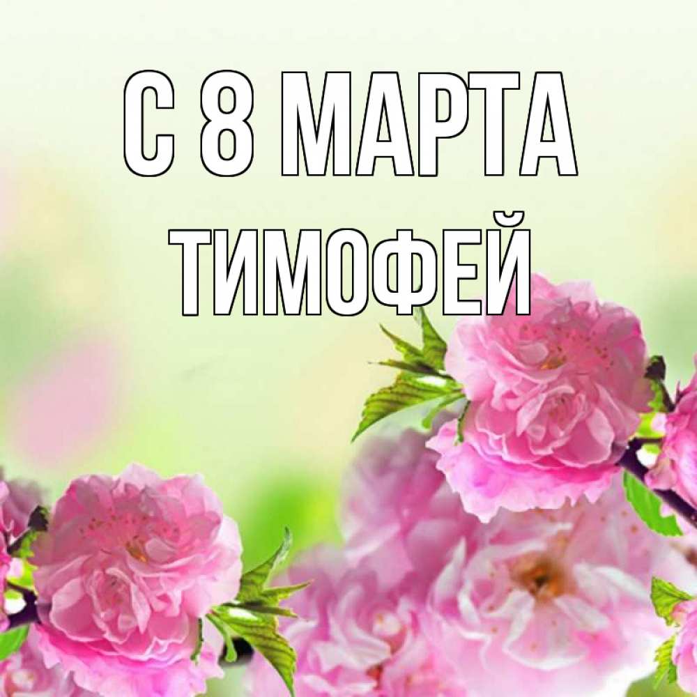 Открытка на каждый день с именем, Тимофей С 8 марта цветы Прикольная открытка с пожеланием онлайн скачать бесплатно 