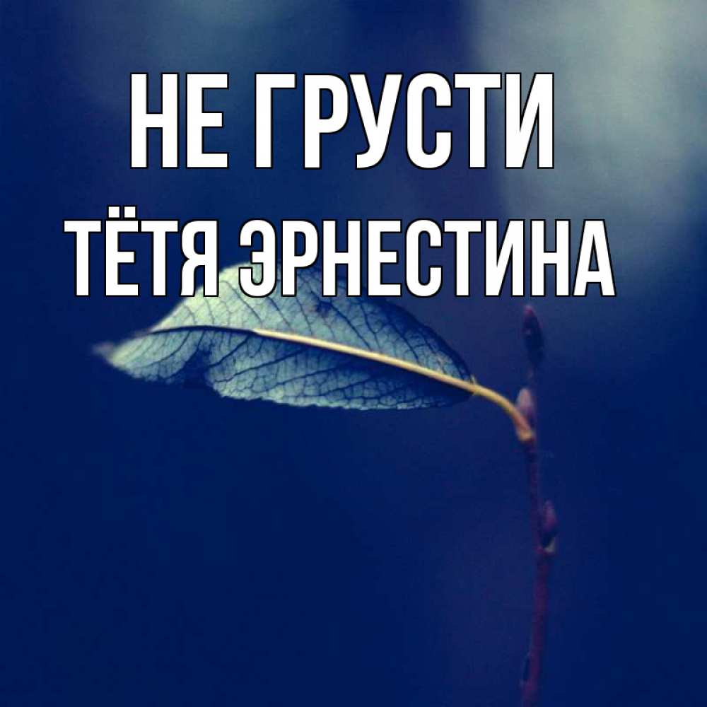 Открытка на каждый день с именем, Тётя-Эрнестина Не грусти растение Прикольная открытка с пожеланием онлайн скачать бесплатно 