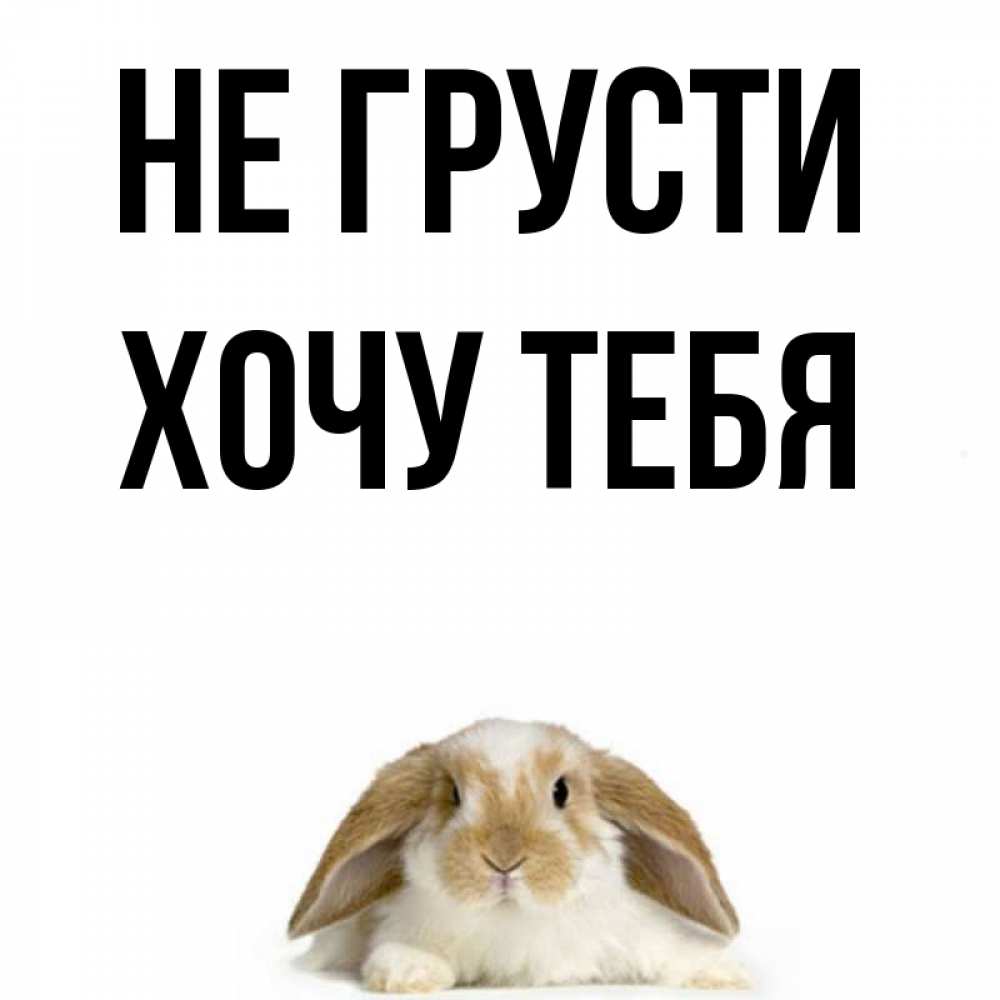 Картинка Не грусти, Хочу тебя