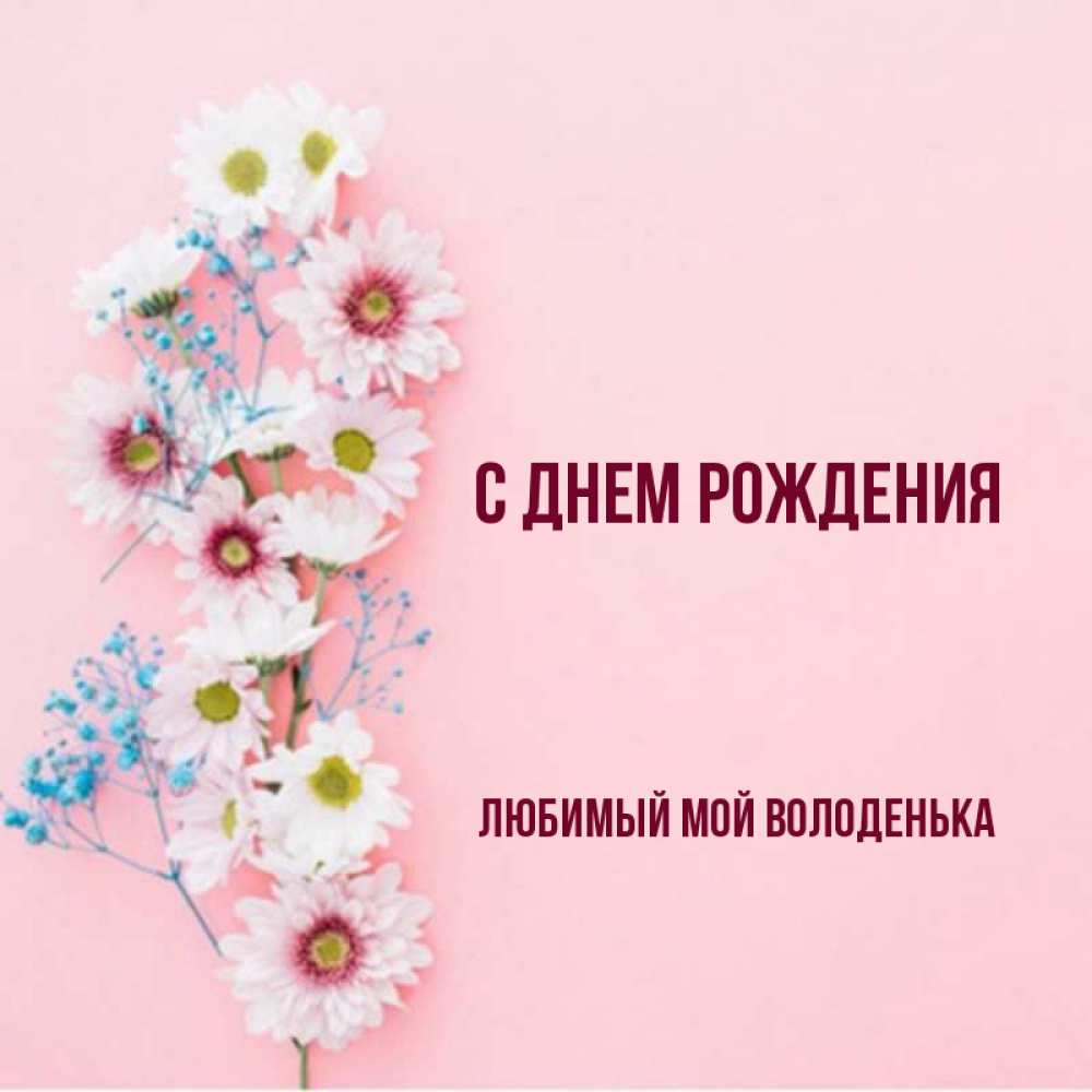 С днем рождения володенька картинки