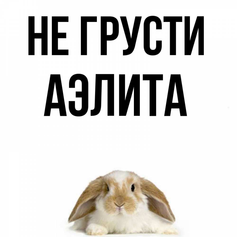 Открытка на каждый день с именем, Аэлита Не грусти коричнево белый заяц с большими ушками Прикольная открытка с пожеланием онлайн скачать бесплатно 
