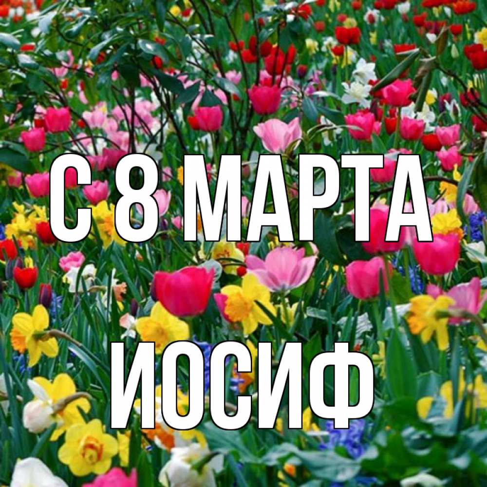Открытка на каждый день с именем, Иосиф С 8 марта с международным женским днем поздравления для женщины Прикольная открытка с пожеланием онлайн скачать бесплатно 