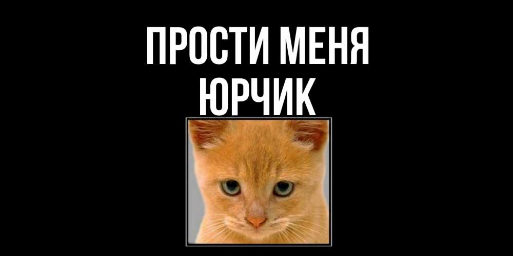 Открытка на каждый день с именем, Юрчик Прости меня рыжий грустный кот просит прощения Прикольная открытка с пожеланием онлайн скачать бесплатно 