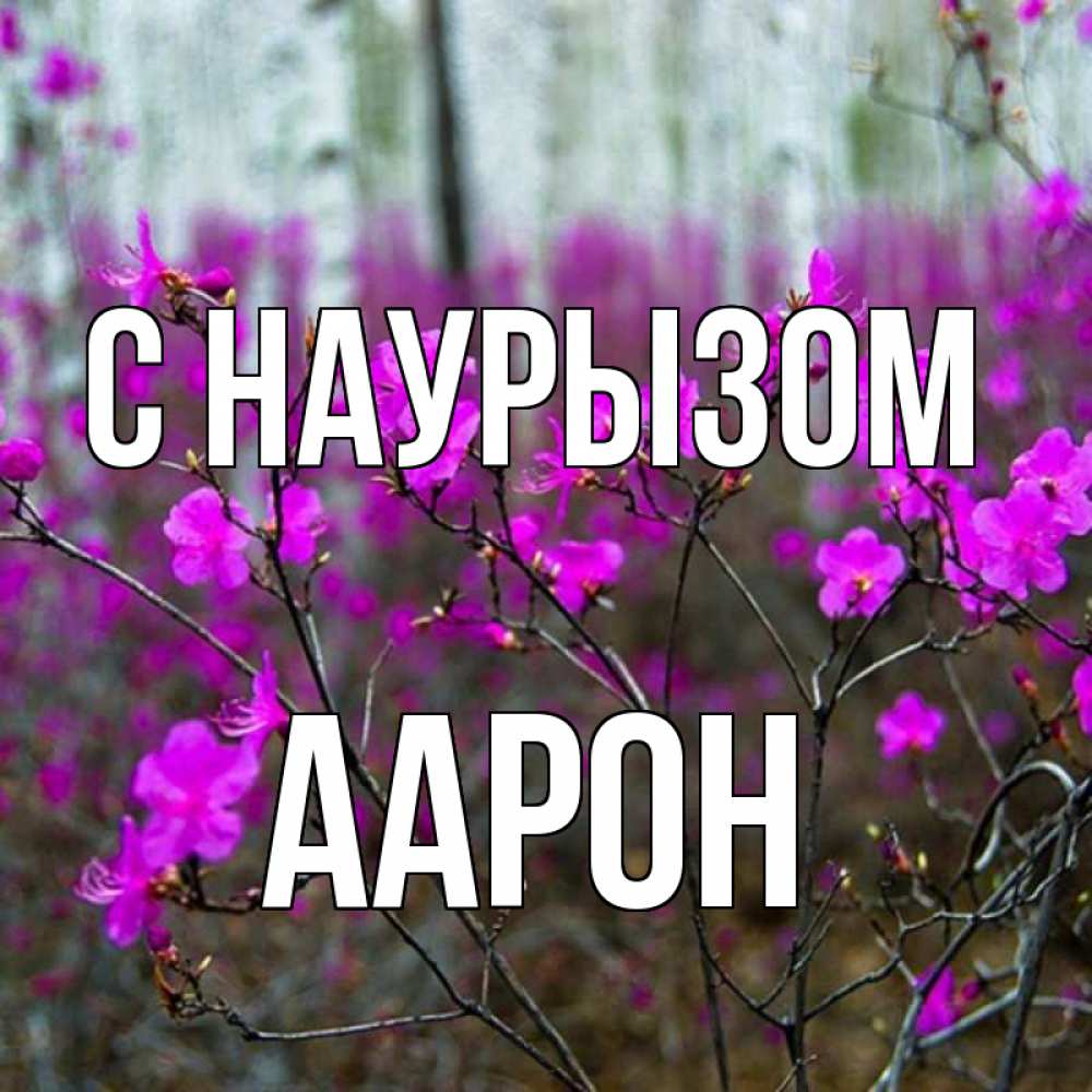 Открытка на каждый день с именем, Аарон С наурызом дикие цветы Прикольная открытка с пожеланием онлайн скачать бесплатно 