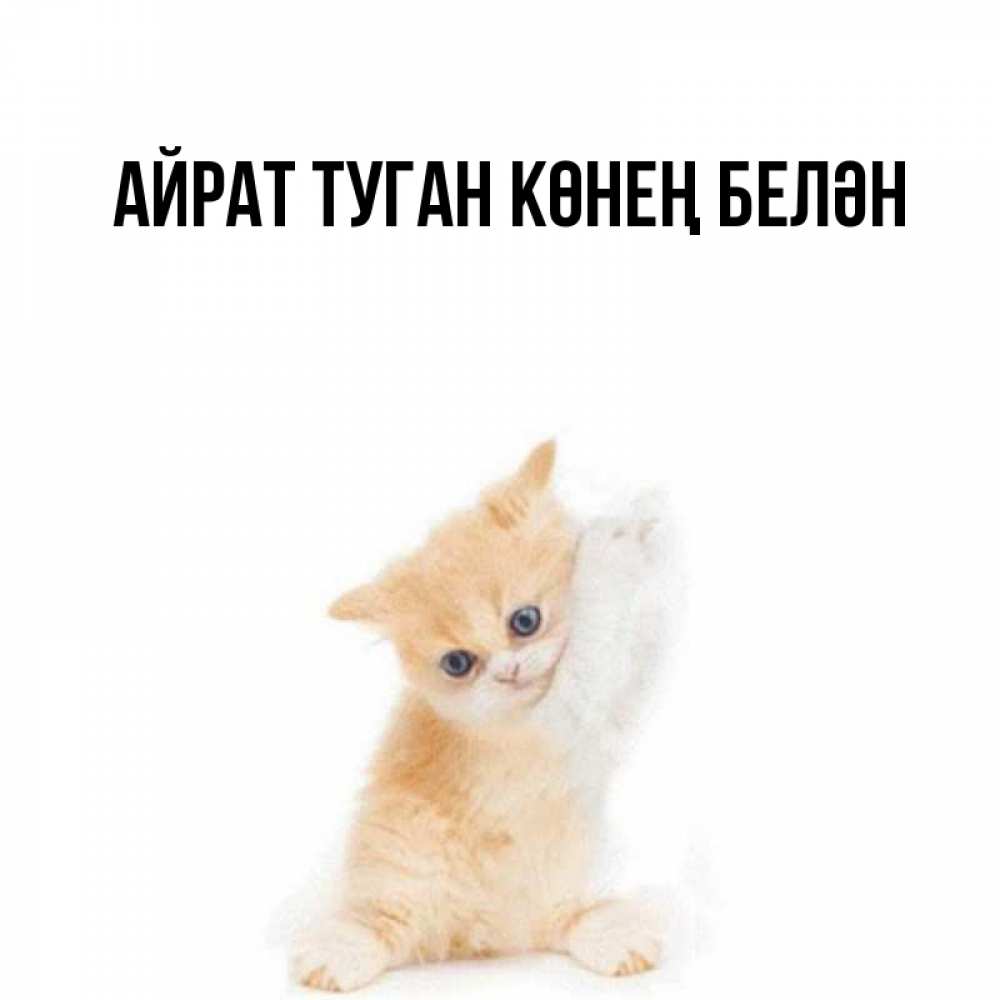 Открытка на каждый день с именем, Айрат-туган-көнең-белән Главная я хочу очень скорее обнимаешек Прикольная открытка с пожеланием онлайн скачать бесплатно 