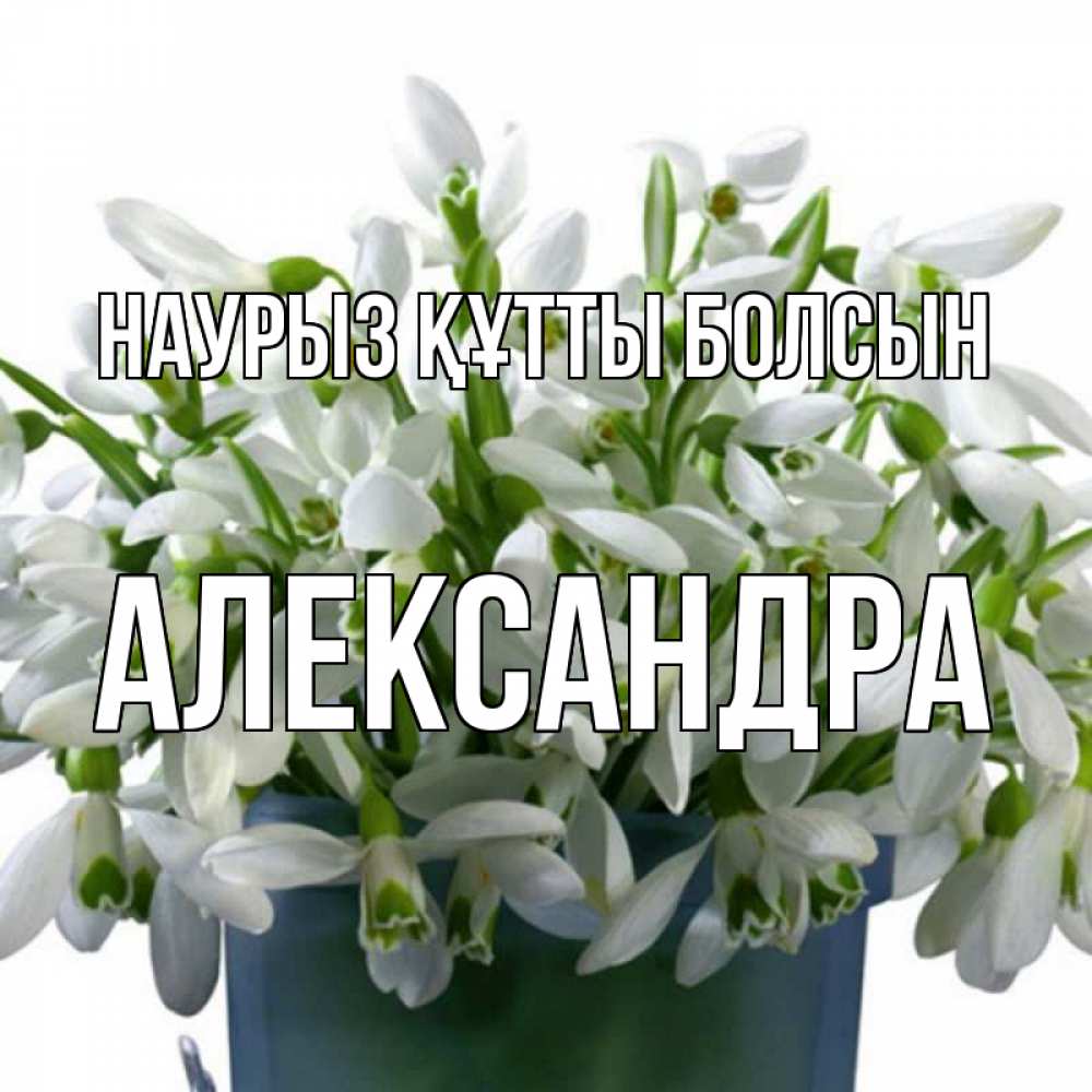 Открытка на каждый день с именем, Александра Наурыз құтты болсын цветы к наурызу Прикольная открытка с пожеланием онлайн скачать бесплатно 