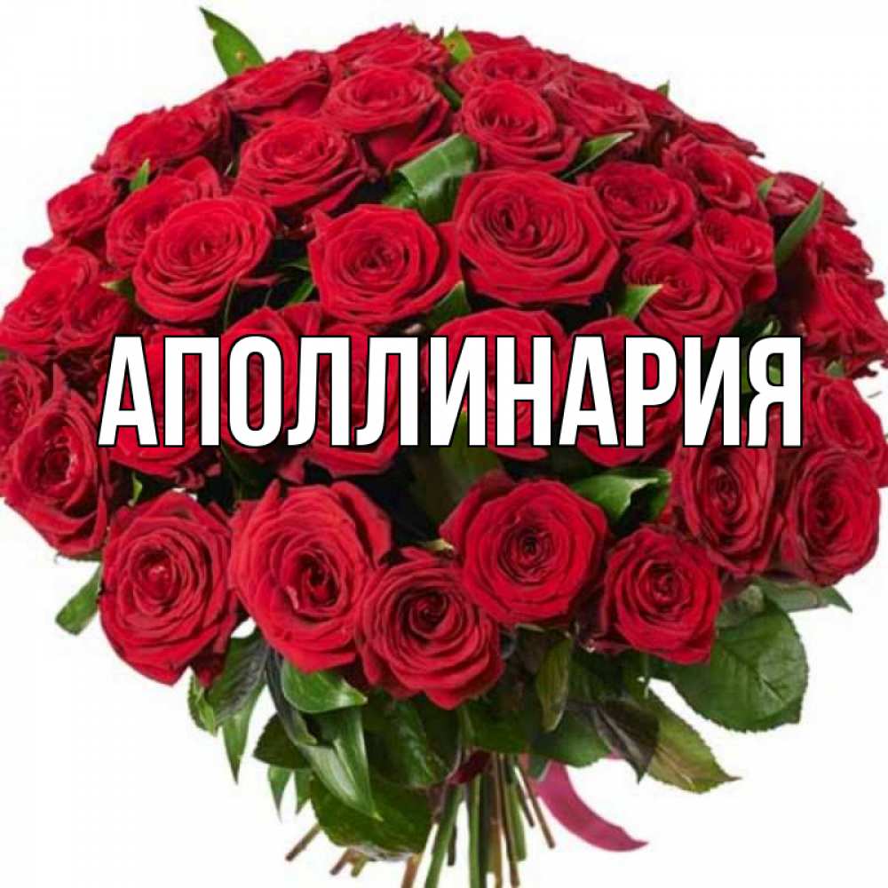 Открытка на каждый день с именем, Аполлинария Главная букет красных роз Прикольная открытка с пожеланием онлайн скачать бесплатно 