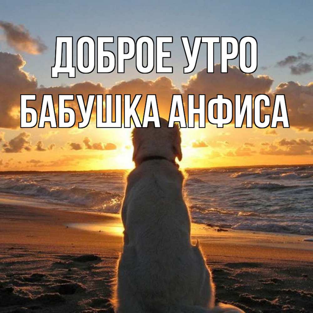 Открытка на каждый день с именем, Бабушка-Анфиса Доброе утро восход солнца Прикольная открытка с пожеланием онлайн скачать бесплатно 
