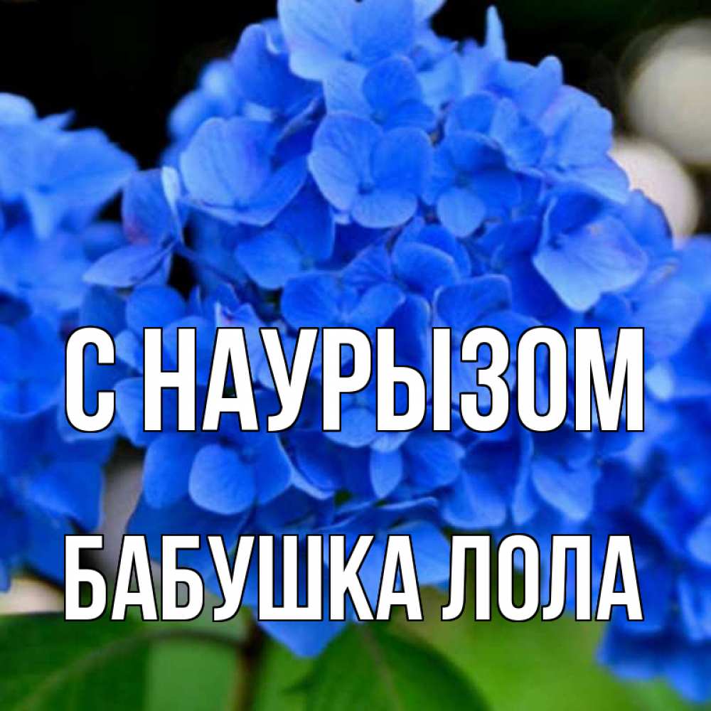 Открытка на каждый день с именем, Бабушка-Лола С наурызом синие цветы Прикольная открытка с пожеланием онлайн скачать бесплатно 