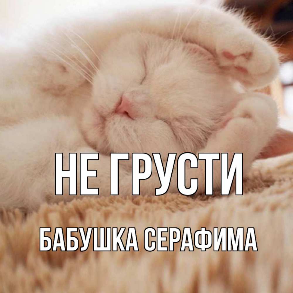 Открытка на каждый день с именем, Бабушка-Серафима Не грусти белый кот Прикольная открытка с пожеланием онлайн скачать бесплатно 