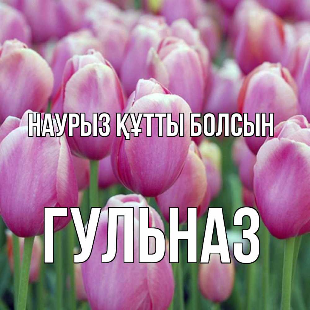 Открытка на каждый день с именем, Гульназ Наурыз құтты болсын на наурыз  день 3 Прикольная открытка с пожеланием онлайн скачать бесплатно 