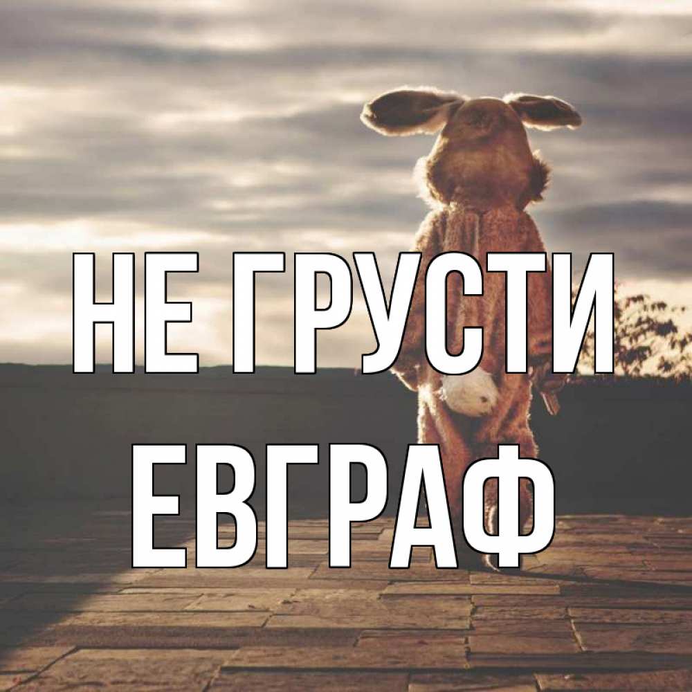 Открытка на каждый день с именем, Евграф Не грусти со спины Прикольная открытка с пожеланием онлайн скачать бесплатно 