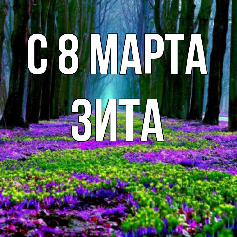 Открытка на каждый день с именем, Зита С 8 МАРТА фиолетовые цветы в лесу 1 Прикольная открытка с пожеланием онлайн скачать бесплатно 