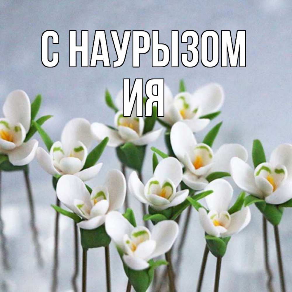 Открытка на каждый день с именем, Ия С наурызом весенние цветы Прикольная открытка с пожеланием онлайн скачать бесплатно 