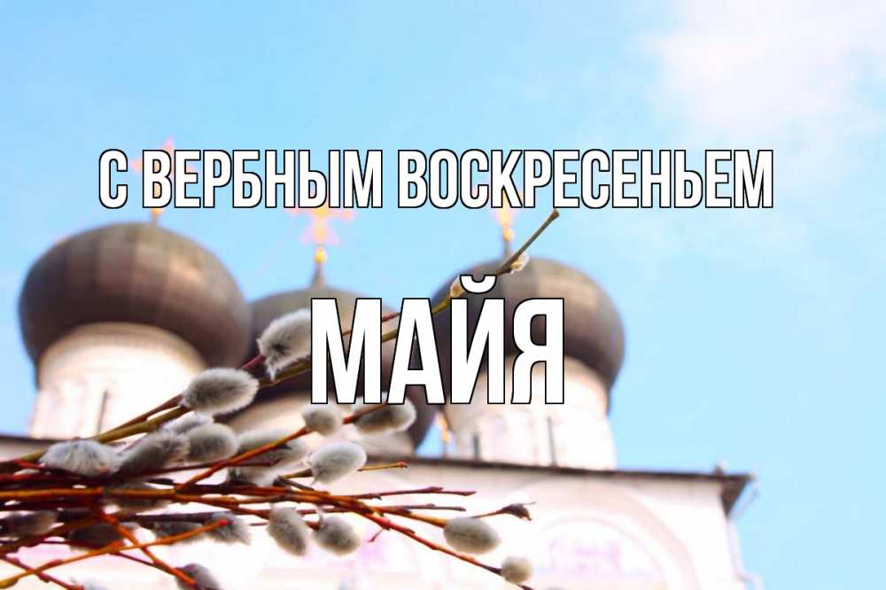 Открытка на каждый день с именем, Майя С вербным воскресеньем верба Прикольная открытка с пожеланием онлайн скачать бесплатно 