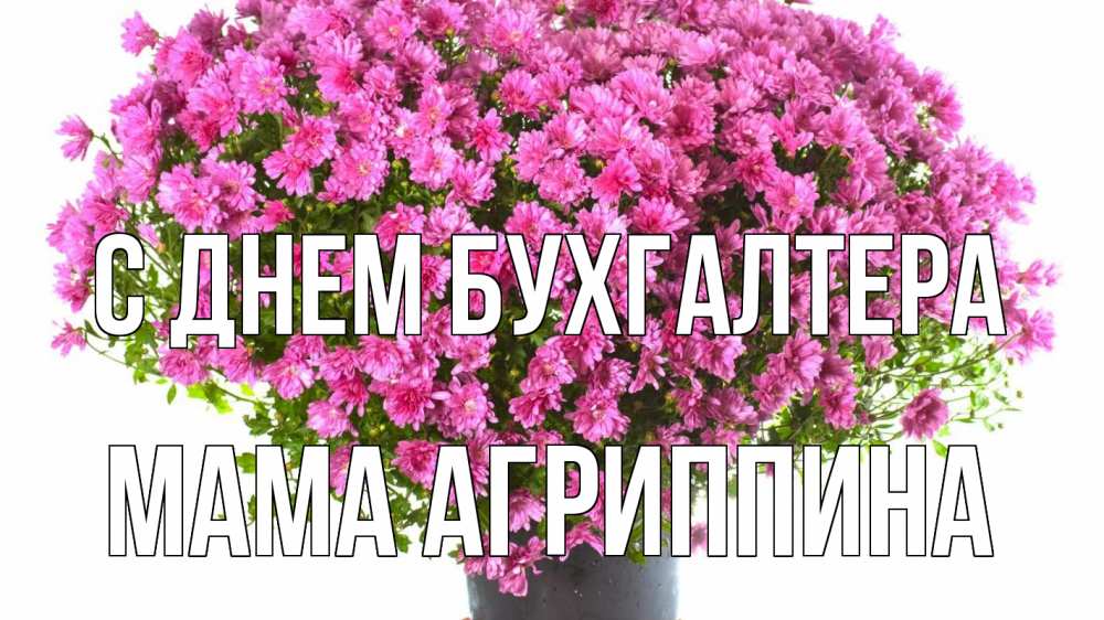 Открытка на каждый день с именем, Мама-Агриппина С днем бухгалтера с днем бухгалтера Прикольная открытка с пожеланием онлайн скачать бесплатно 