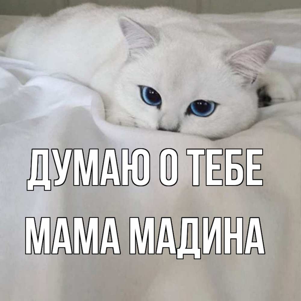 Открытка на каждый день с именем, Мама-Мадина Думаю о тебе я очень по тебе скучаю и тоскую Прикольная открытка с пожеланием онлайн скачать бесплатно 