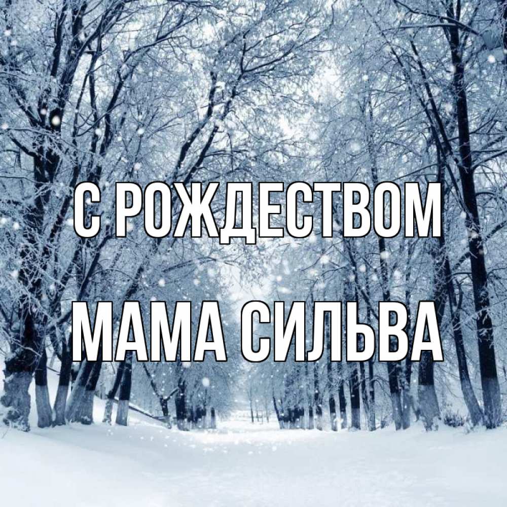 Открытка на каждый день с именем, Мама-Сильва С рождеством снег, лес, парк Прикольная открытка с пожеланием онлайн скачать бесплатно 