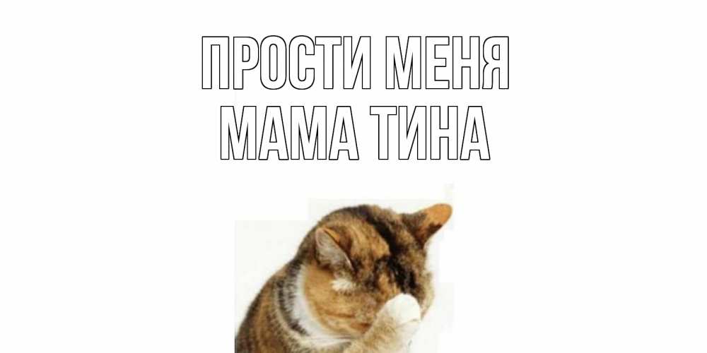 Открытка на каждый день с именем, Мама-Тина Прости меня кот Прикольная открытка с пожеланием онлайн скачать бесплатно 