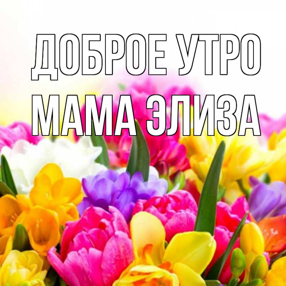 Открытка на каждый день с именем, Мама-Элиза Доброе утро создать открытку со свое подписью Прикольная открытка с пожеланием онлайн скачать бесплатно 