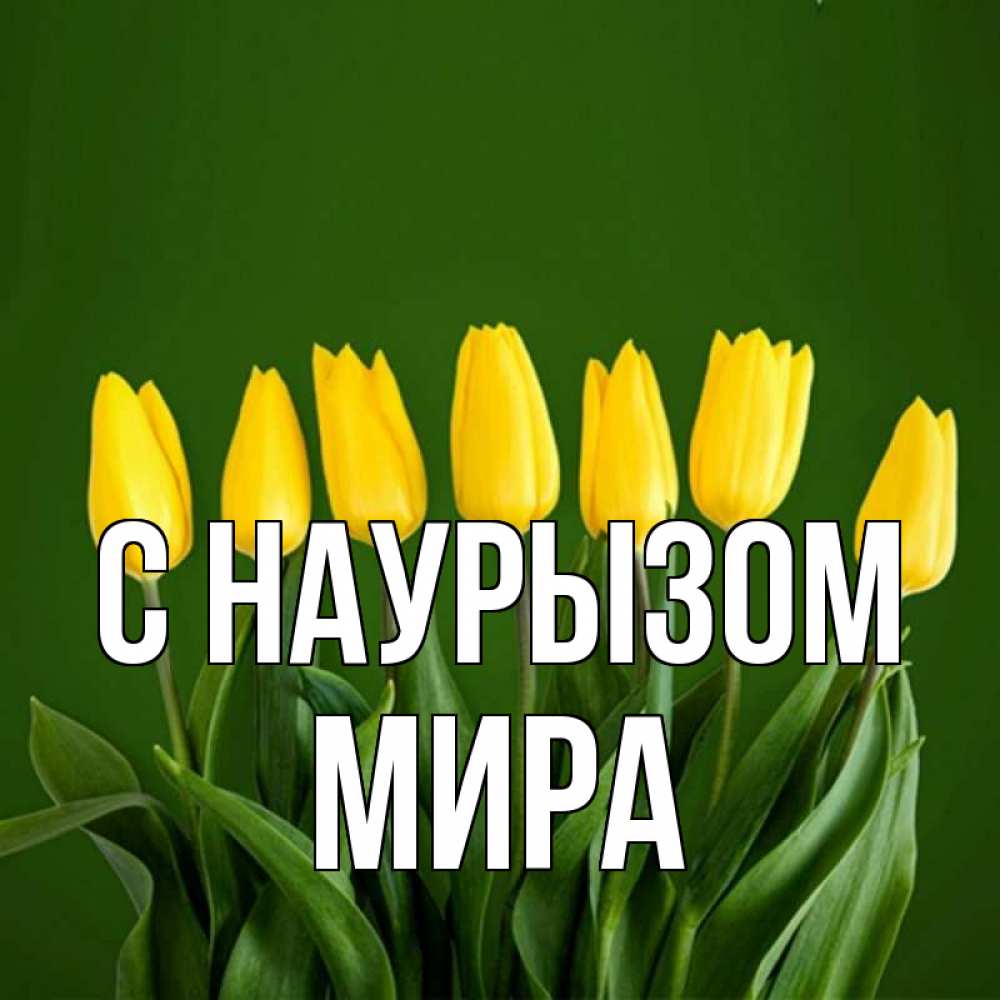 Открытка на каждый день с именем, Мира С наурызом желтого цвета 3 Прикольная открытка с пожеланием онлайн скачать бесплатно 