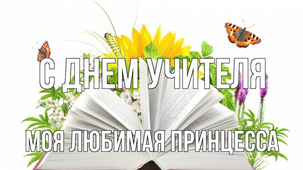 Открытка на каждый день с именем, Моя-Любимая-Принцесса С днем учителя с днем учителя Прикольная открытка с пожеланием онлайн скачать бесплатно 