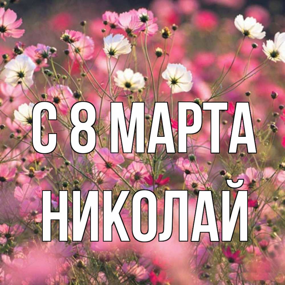 Открытка на каждый день с именем, Николай С 8 МАРТА красиво 1 Прикольная открытка с пожеланием онлайн скачать бесплатно 