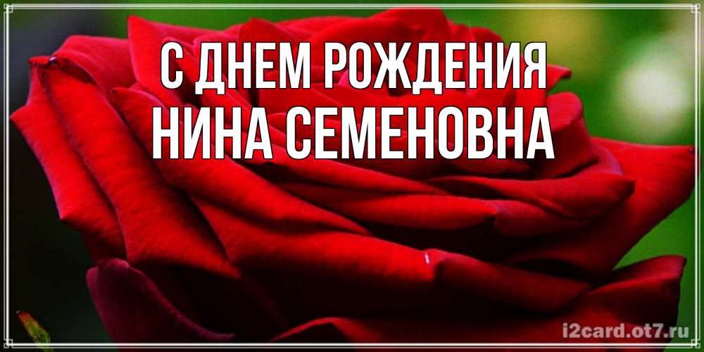Открытка на каждый день с именем, Нина-Семеновна С днем рождения розочка очень красивая Прикольная открытка с пожеланием онлайн скачать бесплатно 