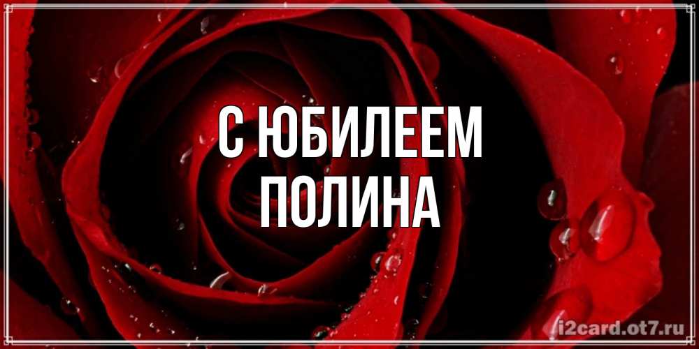 Открытка на каждый день с именем, Полина С юбилеем крупная бордовая роза Прикольная открытка с пожеланием онлайн скачать бесплатно 