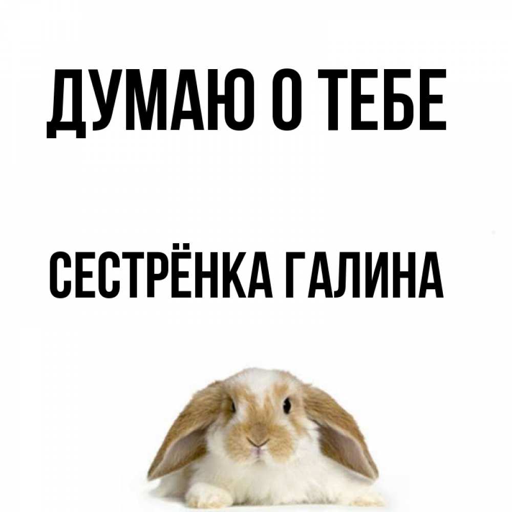 Открытка на каждый день с именем, Сестрёнка-Галина Думаю о тебе подписать своими руками онлайн Прикольная открытка с пожеланием онлайн скачать бесплатно 