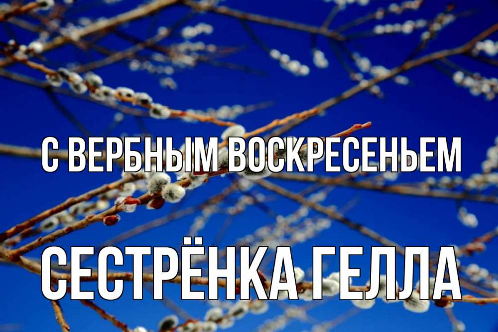 Открытка на каждый день с именем, Сестрёнка-Гелла С вербным воскресеньем верба Прикольная открытка с пожеланием онлайн скачать бесплатно 