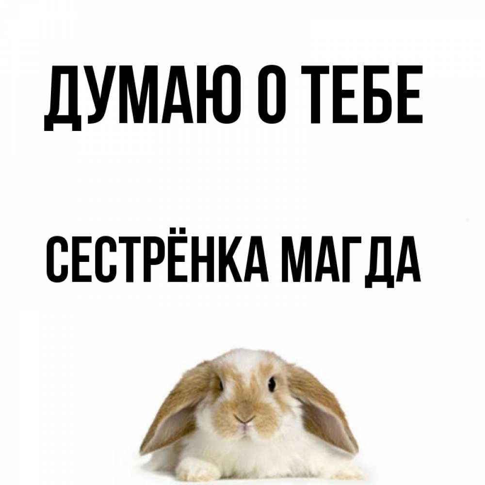 Открытка на каждый день с именем, Сестрёнка-Магда Думаю о тебе подписать своими руками онлайн Прикольная открытка с пожеланием онлайн скачать бесплатно 