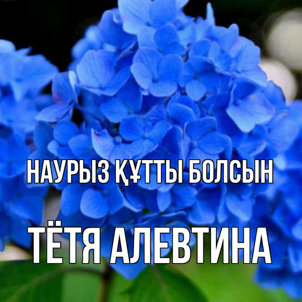Открытка на каждый день с именем, Тётя-Алевтина Наурыз құтты болсын синие цветы Прикольная открытка с пожеланием онлайн скачать бесплатно 