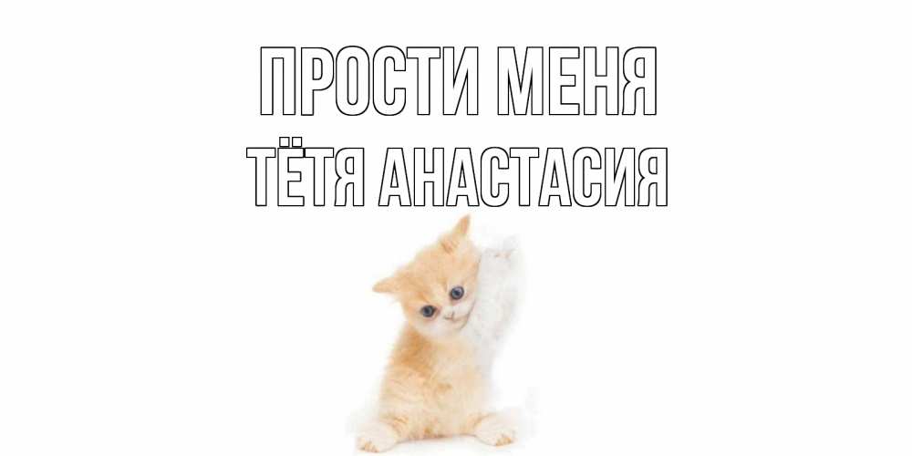 Открытка на каждый день с именем, Тётя-Анастасия Прости меня кот Прикольная открытка с пожеланием онлайн скачать бесплатно 