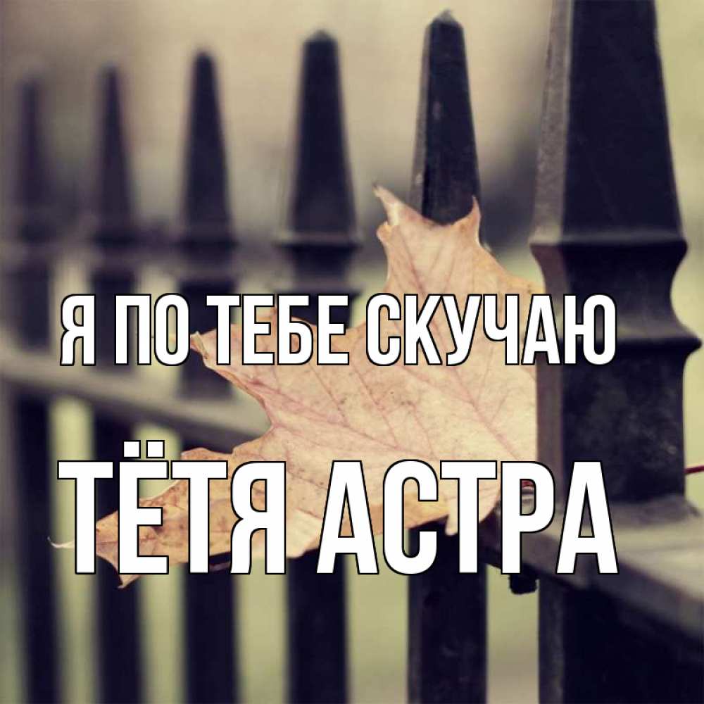 Открытка на каждый день с именем, Тётя-Астра Я по тебе скучаю очень скучно Прикольная открытка с пожеланием онлайн скачать бесплатно 