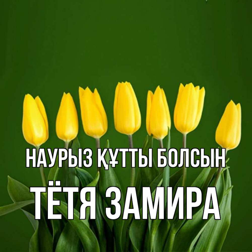 Открытка на каждый день с именем, Тётя-Замира Наурыз құтты болсын желтого цвета 3 Прикольная открытка с пожеланием онлайн скачать бесплатно 