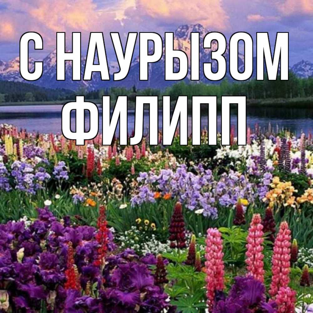 Открытка на каждый день с именем, Филипп С наурызом праздник весны наурыз Прикольная открытка с пожеланием онлайн скачать бесплатно 