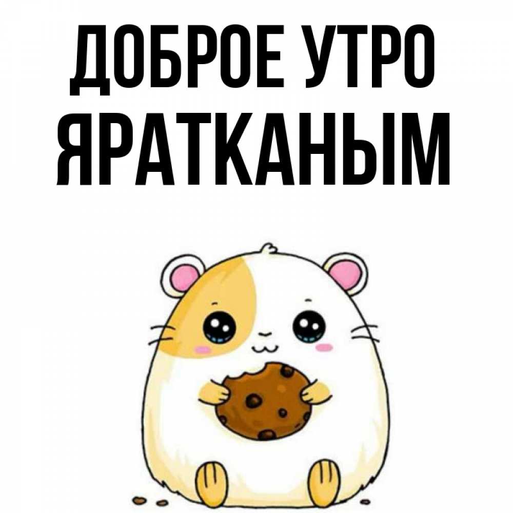 анвар нургалиев и ляйсан шарипов. целуя тебя. яратканым перевод. имя стефания пожелание здоровья. анвар нургалиев текст.