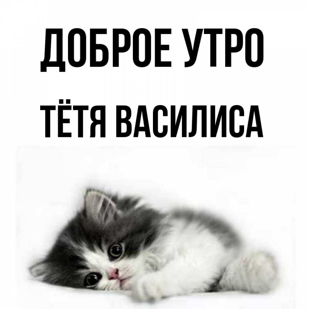 Открытка на каждый день с именем, Тётя-Василиса Доброе утро кот лапки Прикольная открытка с пожеланием онлайн скачать бесплатно 