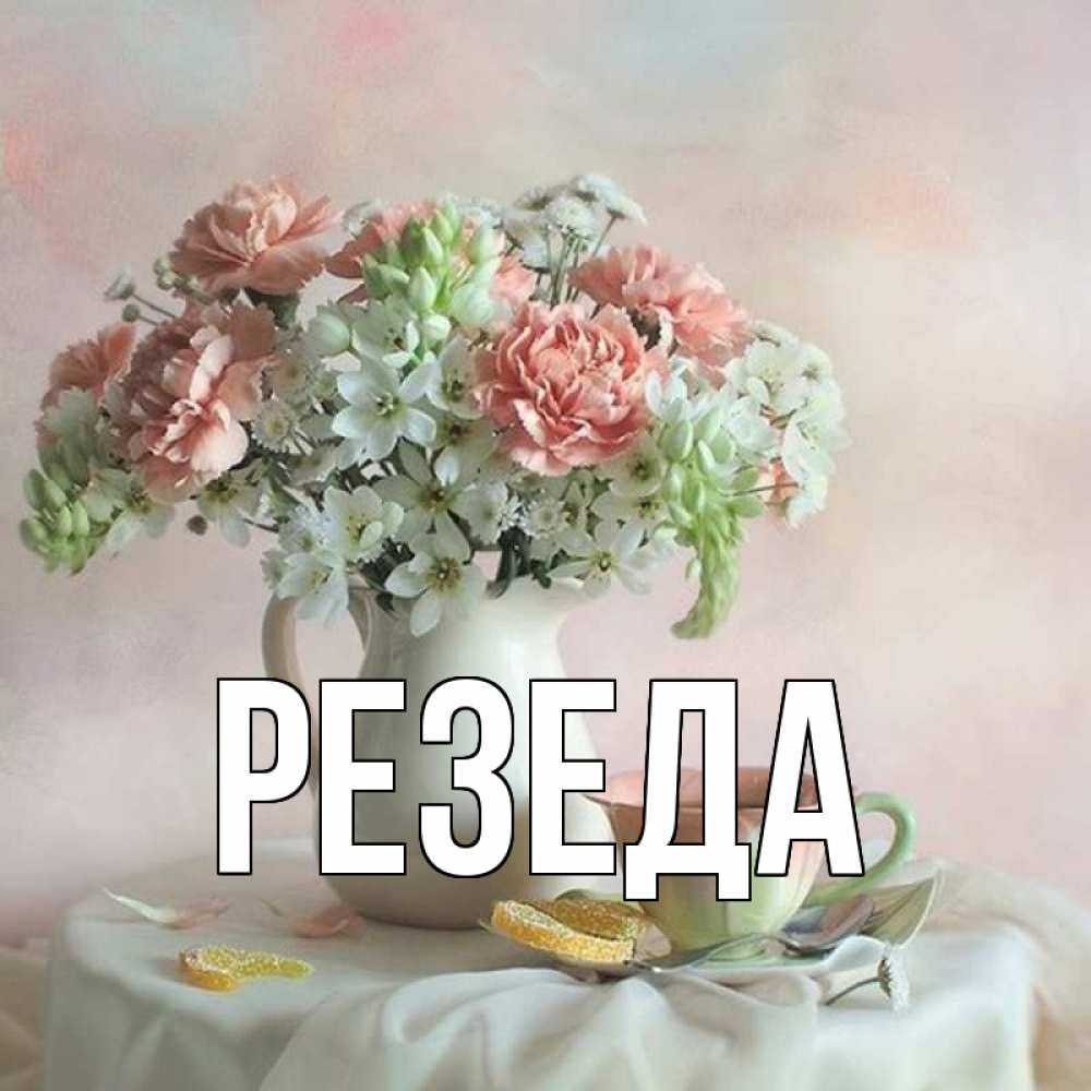 Резеда вектор