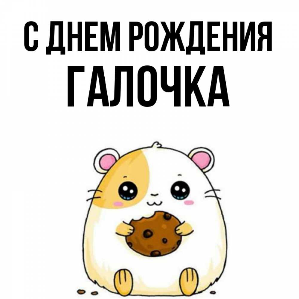 Открытка на каждый день с именем, ГАЛОЧКА С днем рождения с днюхой Прикольная открытка с пожеланием онлайн скачать бесплатно 