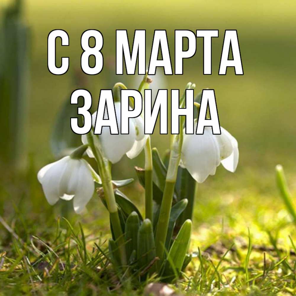 Открытка на каждый день с именем, Зарина С 8 МАРТА ранние цветы 2 Прикольная открытка с пожеланием онлайн скачать бесплатно 
