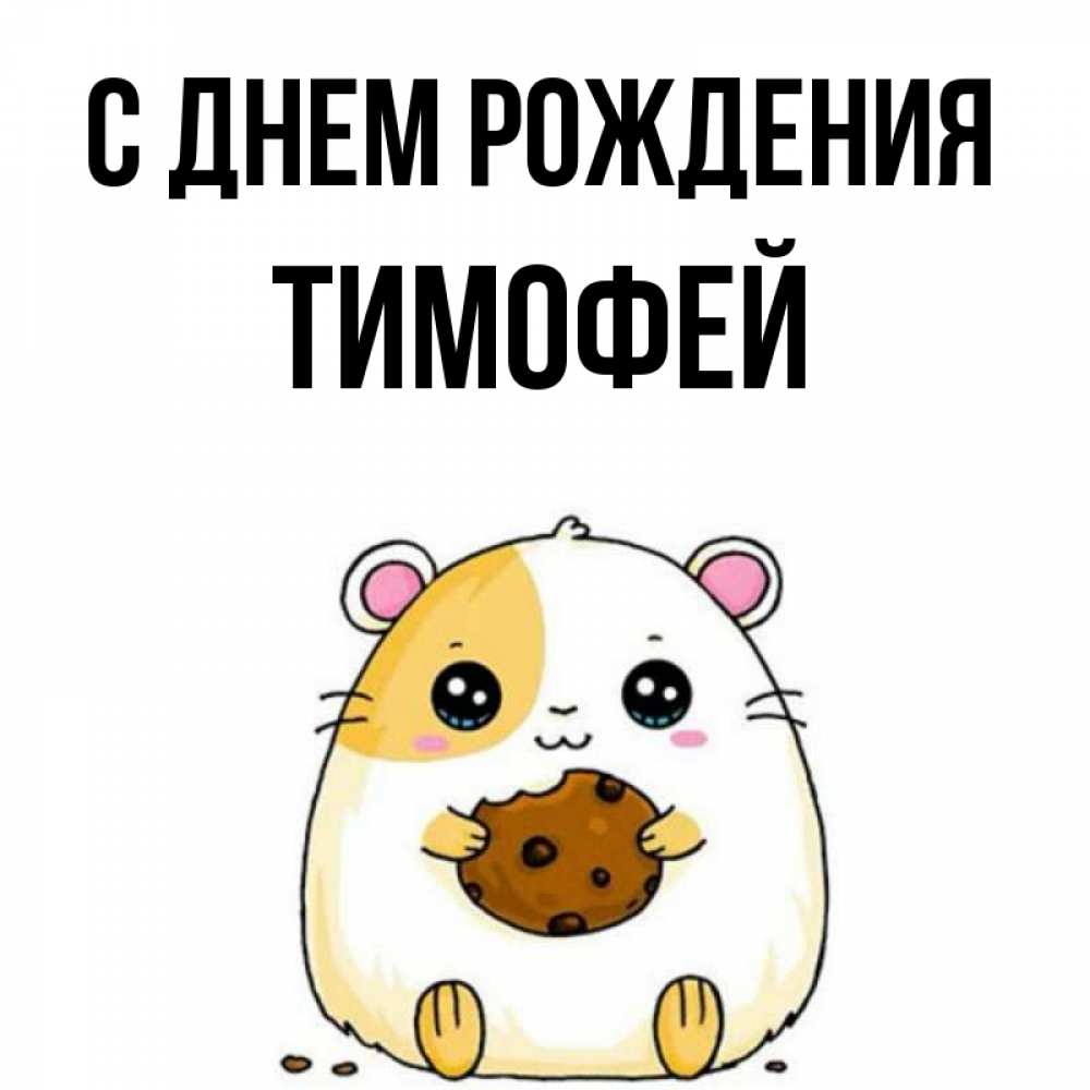Открытка на каждый день с именем, тимофей С днем рождения с днюхой Прикольная открытка с пожеланием онлайн скачать бесплатно 
